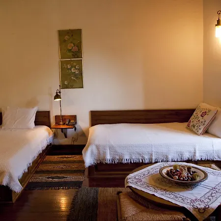 Mansion Karagiannopoulou 4* Vizitsa