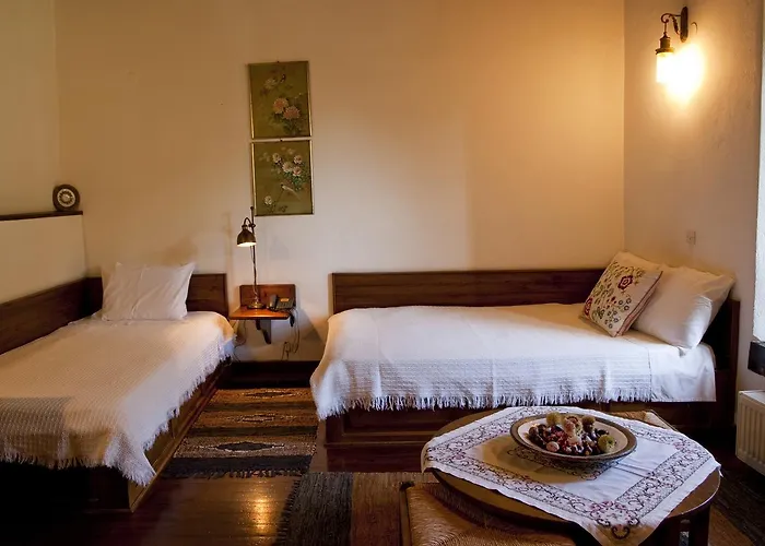 Mansion Karagiannopoulou 4* 维兹伊萨